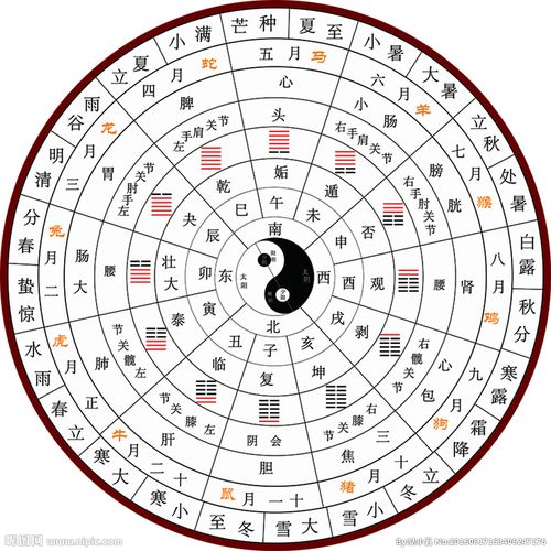 中医节气八卦图图片