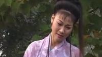 庐剧《贤女冤》1 昂小红 王小五 杨青霞 宛小香 吕俊 王燕