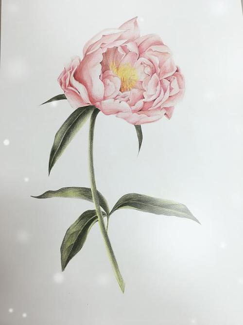 薄荷小白的相册-画着玩呗