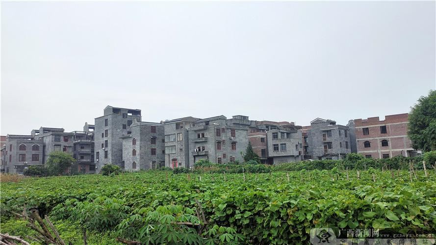 梧州市长洲区:旅游引领 托起乡村振兴梦 (3/6)