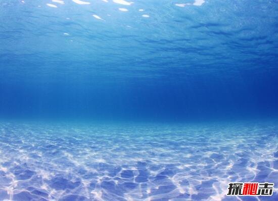 海洋的"噗嗵"声之谜,太平洋海底诡异叫声/疑似深海水怪