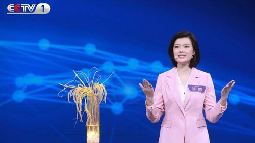 央视《主持人大赛》夺冠,她被赞上了热搜!