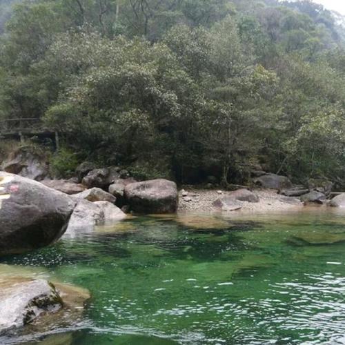 驴喵行:大安源景区又被称为是东南的九寨沟,闽北的白水洋,景区内的石