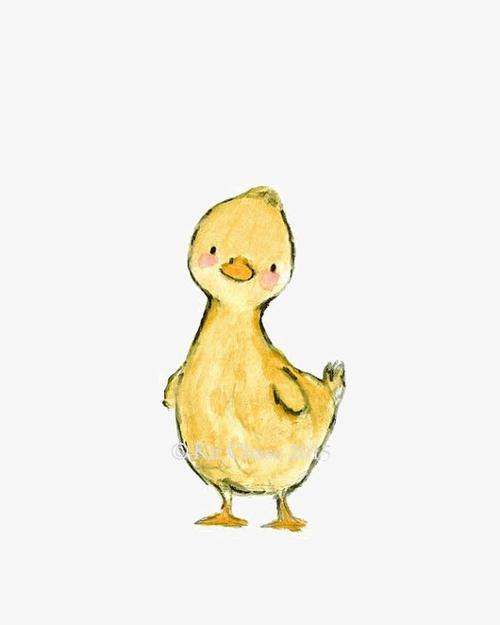 小黄鸭