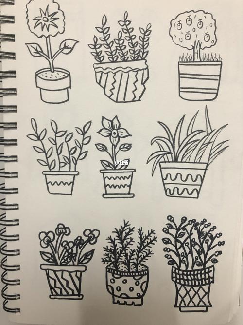 day10简笔画|花盆_花盆_简笔画_参天_文化_绘画