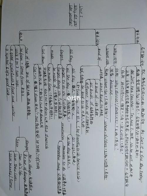 七年级下册英语第五单元思维导图
