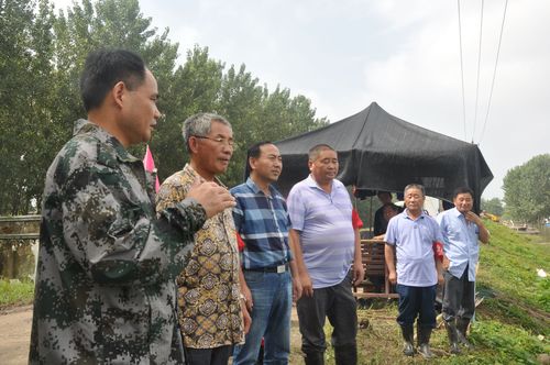 正阳关镇抗洪一线见闻_寿县人民政府