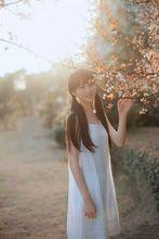 杨肸子