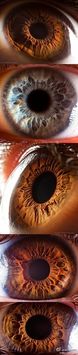 美国一名34岁的物理老师suren manvelyan拍摄的人类瞳孔,他用相机放大