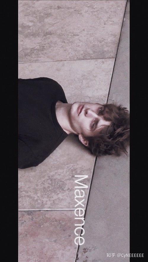 主都有了唯一固定的脸 maxence danet-fauvel 马克桑斯·达奈-弗伟尔