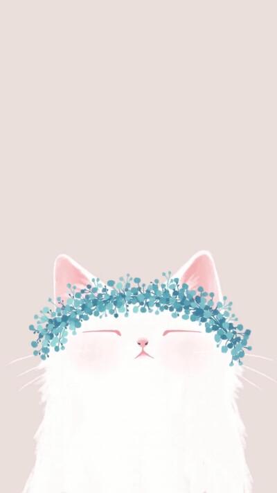 猫咪- 堆糖,美图壁纸兴趣社区
