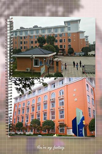 10月22日,23日两天,在长沙市天心区桂花坪小学,参加了李玉贵老师的