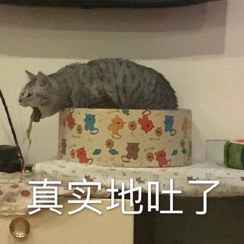 真实的吐了-表情图片 - 壁纸之家