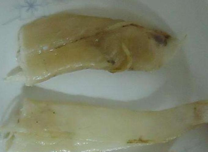 假鱼胶浸泡后的图片(教你识别如何分辨真假)