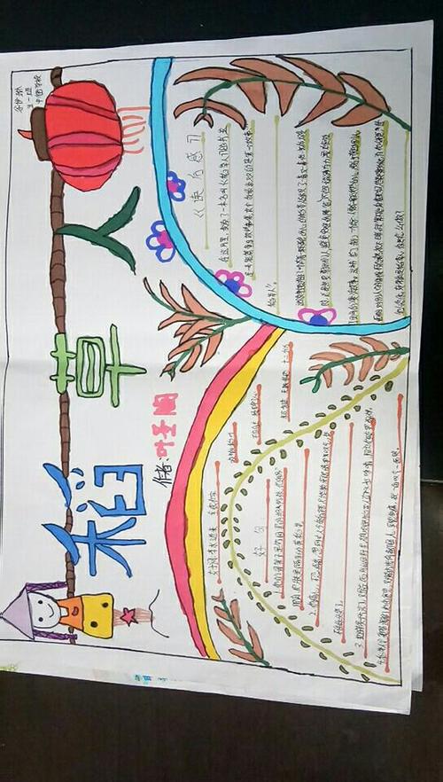 《稻草人》以丰富的想象力吸引了我,美美的一张手抄报