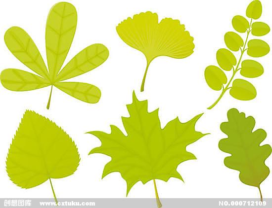 树叶形态矢量图,树叶,形态,绿色,环保,叶子,免费下载,素材图片