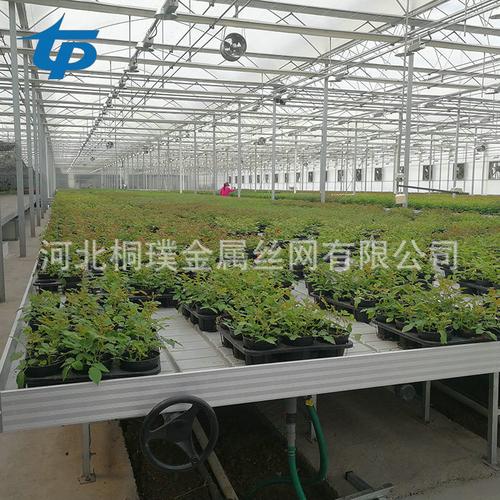潮沙式灌溉移动苗床是一种针对盆栽植物营养液栽培或容器育苗