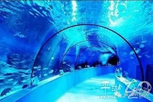 西溪湿地:祈福/品梅套餐(6人),9折.