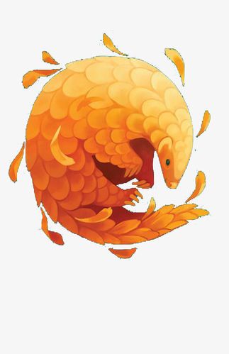 金黄色穿山甲