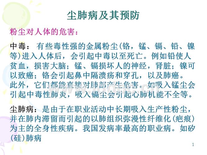 2尘肺病及预防.ppt
