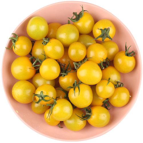 黄色小番茄5斤现摘千禧圣女果夏日阳光柿子新鲜番茄
