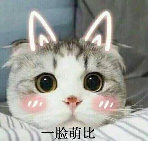 可爱卖萌搞笑表情包