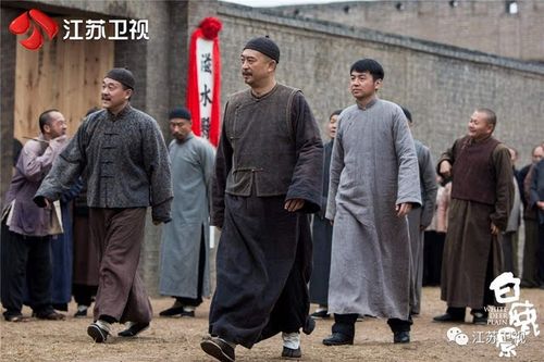 《人民日报》(海外版) :电视剧《白鹿原》再现文学经典