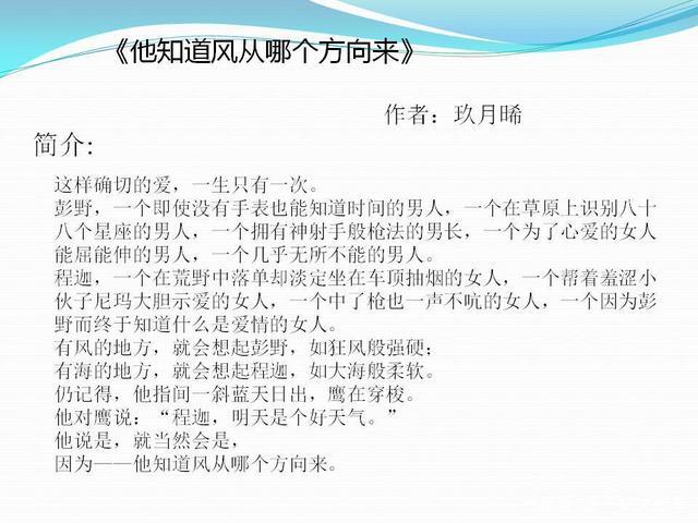 大家好,团子今天给大家分享的书籍是玖月晞"追风系列"中的一本书《他