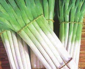 15930449105客服阿顺: 15033911597手机:发财热线:前期鲜葱后期干葱