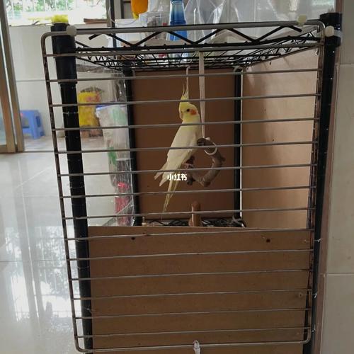 自己动手做了个鸟笼_手工制作_兴趣爱好_手工