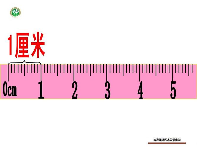 2013新北师大版二年级数学上册课桌有多长ppt