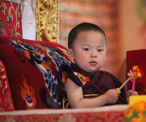 白玉祖寺贝玛诺布第四世转世灵童坐床大典~泽郎加新歌~仙儿灵童