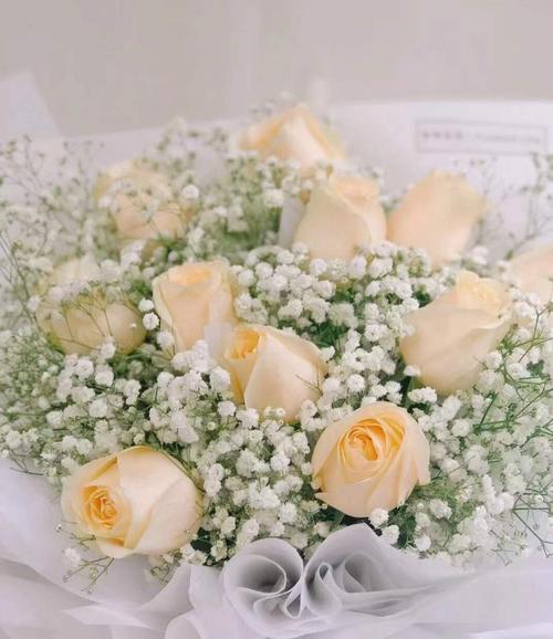 好姐妹生日送什么鲜花闺蜜过生日送什么花比较合适