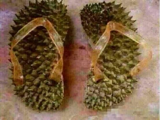 跪榴莲壳——壳不能碎,人不能睡