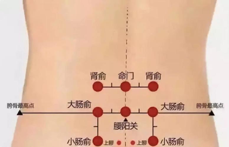 腰痛,艾灸可以标本兼治!