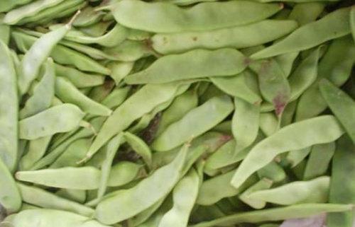 刀豆壳图片_百草录