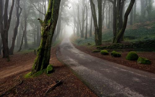 chrome os高清宽屏风景壁纸_2560x1600高清壁纸【电脑桌面背景图片】