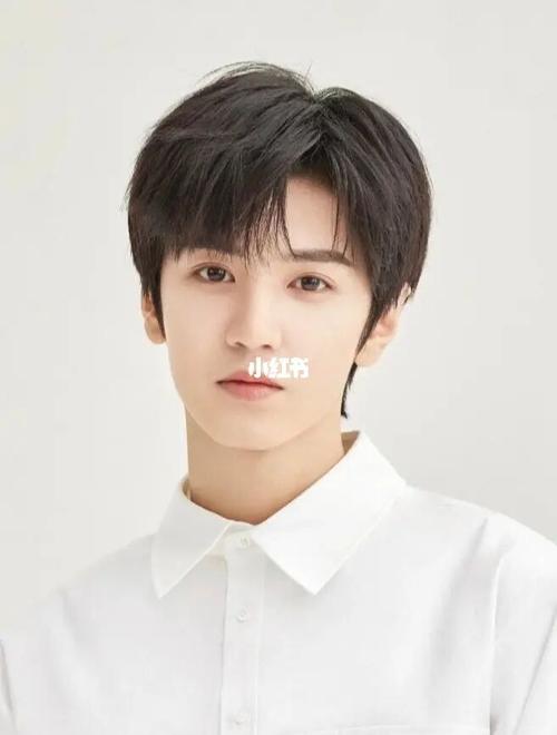 证件照真的太帅了_证件照_白敬亭_陈哲远_娱乐_明星