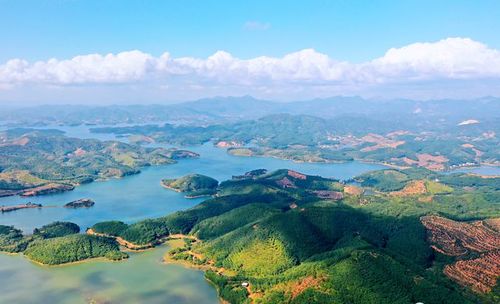 高州平山镇:荔枝花开,风景如画