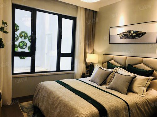 龙湖·春江郦城样板间图