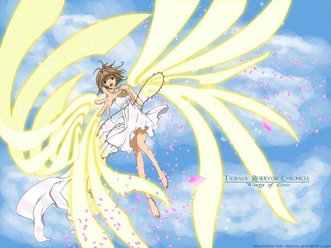 谁有翼年代记里小樱张开翅膀的图片啊是那种有棱有角度那种,谢谢