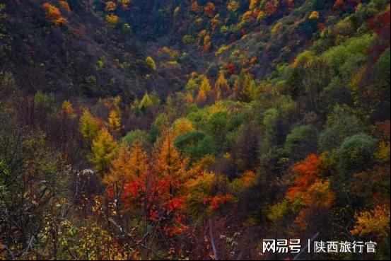 秦岭深处的秘境青峰峡,国庆小长假一定要目睹它绝美的