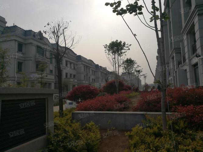 润扬首府,武夷山路,近浦东路-枣庄润扬首府二手房