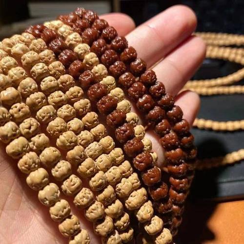 佛手小金刚为什么越来越受欢迎