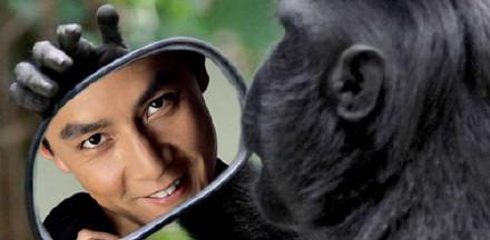 举着镜子吴彦祖表情包 高清无水印版