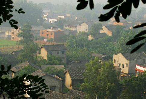高坪区都京镇特色简介
