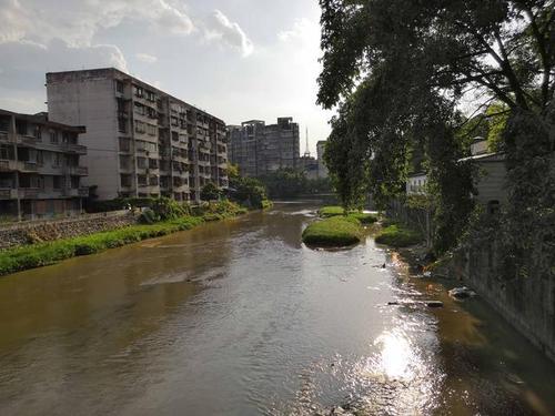远眺华丰桥以北的区域,蓝天下道路两旁绿树成荫.