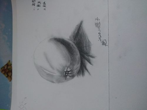1.13上午橙子