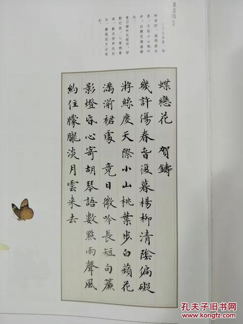 卢中南小楷宋词三百首 正版书法艺术