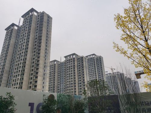 华南城紫荆名都